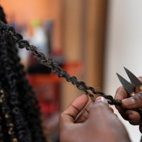 island Senegalese Twists